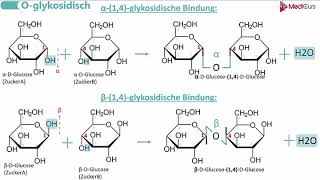 Glykosidische Bindungen [upl. by Sicard]