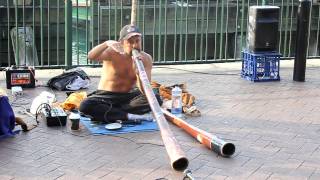 awesome didgeridoo playing australia [upl. by Rezzani]