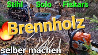 🔥 Brennholz selber machen 🌳 Birken läutern 🪚🪓 Fällen Sägen Spalten stihl solo fiskars [upl. by Garey]