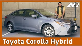 Toyota Corolla Híbrido ⭐️  Sorprendente evolución y el mejor híbrido por el precio [upl. by Anileve389]