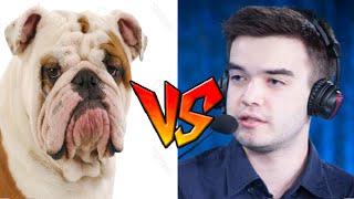 Bulldog VS SyndereNCrumbling Island Arena [upl. by Perkin260]