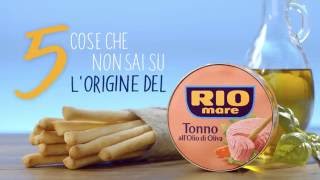 5 COSE CHE NON SAI SULL ORIGINE DEL TONNO RIO MARE [upl. by Dihgirb146]