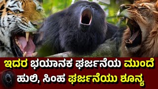 HOWLER MONKEYS  ಇದರ ಭಯಾನಕ ಘರ್ಜನೆಯ ಮುಂದೆ ಹುಲಿ ಸಿಂಹ ಘರ್ಜನೆಯು ಶೂನ್ಯ [upl. by Yecnuahc299]