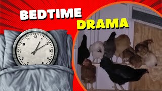 Bedtime drama [upl. by Gnauq]