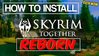 How To Install Skyrim Together Reborn  The Step By Step Guide  2024 [upl. by Roos]