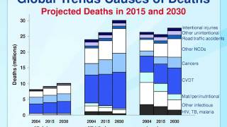 2 Overview of NCDs and Related Risk Factors  CPP NCD Epidemiology [upl. by Lexerd865]