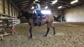 RayLena Bevington amp Katori Dunit Slick Sept Ranch Riding [upl. by Lleznov]