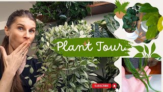 Plant Tour cz2  To pomogło calathei  Jak one urosły 🍂 [upl. by Onaivlis248]