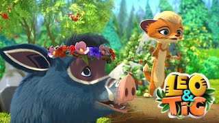 Leo and Tig 🦁 Summer best 🐯 Funny Family Good Animated Cartoon for Kids [upl. by Ajiak]