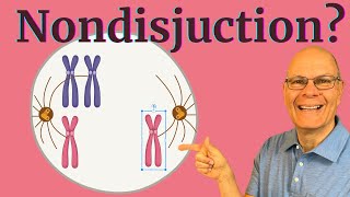 How Nondisjunction Messes Up Chromosome Transmission Master AP Bio [upl. by Ateekram836]