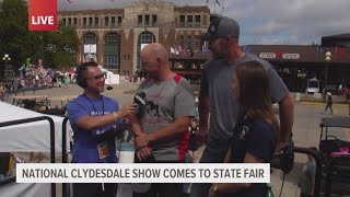 National Clydesdale Show comes to the Iowa State Fair [upl. by Llered]