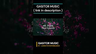 Thani Manasaka  Gasitor Music  thanimanasaka romainewillis love trending music new shorts [upl. by Annalla537]