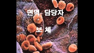 한의학이야기 42강 우리 신체에 면역을 담당하는 보체 면역에 관련된 보체와 세포의 관계에 관한 이야기입니다 [upl. by Ayrb561]