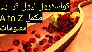 What is Cholesterol level A to Z full information in urdu hindi [upl. by Neerhtak]