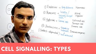 Types of Cell Signaling  Endocrine Paracrine Autocrine and Juxtacrine [upl. by Tillo]