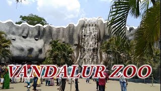 Vandalur Zoo  Arignar Anna Zoological Park [upl. by Assilanna521]