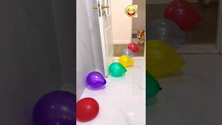 DOG BALLOONS V SPIRAL OF DEATH shorts shortsfeed funny shortvideos youtubevideo balloon [upl. by Sahcnip158]