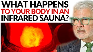 THIS is What Happens To Your Body in an Infrared Sauna  Dr Steven Gundry [upl. by Engdahl]