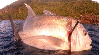 SPEARFISHING PHILIPPINES  GREAT TREVALLY  ASSORTED QUALITY FISH [upl. by Berner186]