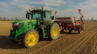 John Deer 6155r amp Maschio Gaspardo Renata  Corn seeding Tecnoagricola Ciceri [upl. by Bernete]