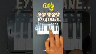 Eyy Banane oru poo tharamo vazha onefingerpiano eyybannane perfectpiano pianoshorts trending [upl. by Etnoek671]