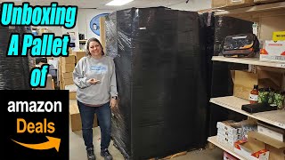 Unboxing a Pallet of 1000 Amazon Deals that are shelf Pulls and overstock Check it out [upl. by Iccir]