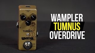 Wampler Tumnus Overdrive [upl. by Phenice]