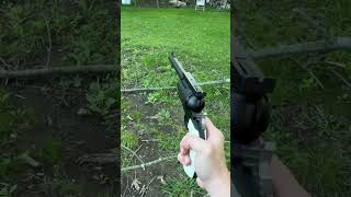 22 vs 44 Magnum vs 4570 Govt Revolvers [upl. by Warms]