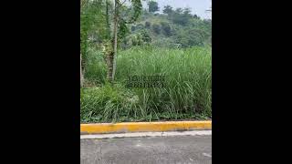 622 sqm Lot for sale Pacific Heights Talisay Cebu httpsyoutubeXN7l5p33ncosioConMr6pVdo6Cjrg [upl. by Riebling203]