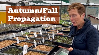 Commercial Propagation In Autumn Behind The Scenes Look [upl. by Landrum]