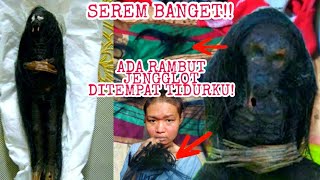 ada rambut jengglot ditempat tidurku mungkin gara gara ini aku sakit parah serem banget [upl. by Assyli]