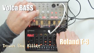 Roland T8 amp Volca Bass  no talk  Down the Killer [upl. by Estey479]