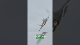 F22 vs F16 Unveiling Key Differences [upl. by Pelaga831]