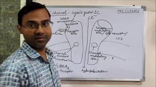 Chloride Channel drugs pharmacodynamics pharmacology [upl. by Karia]