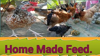 Home Made Feed for Local Chicken minivlog farming birds poultryfood localmurgi chicken [upl. by Htes909]