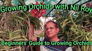 Beginners Guide to Growing Orchids [upl. by Clyve]