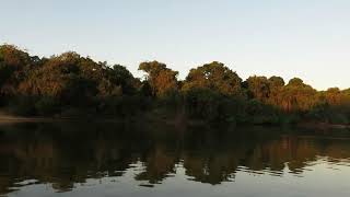 The river at golden hour [upl. by Shanan]