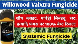 Willowood Valxtra Fungicide।। Haxaconazole 5 Validamycin 25 ।। के बारे में पूरी जानकारी।। [upl. by Hiro]