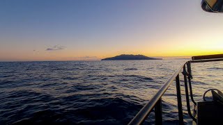 Prospecting Little Barrier  Softbaiting amp Jigging  BBQ on the Boat [upl. by Lyns39]