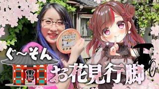 【Vlog】ぐーたら＆ksonで浅草散策🌸お花見行ってきた🌸【ぐーそん】 [upl. by Nnayllek24]