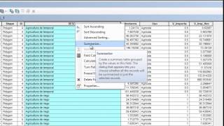 SUMATORIA EN ARCGIS [upl. by Granthem678]