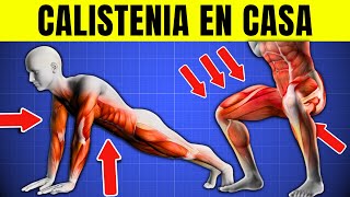 7 Mejores Ejercicios de Calistenia para Hacer en Casa  Entrenamiento Sin Equipo  CUERPO MUSCULOSO [upl. by Whitford]