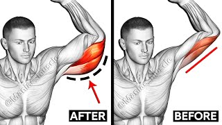 Best Triceps Workout  Lateral Head  Long Head  Medial Head  Maniac Muscle [upl. by Jewell57]