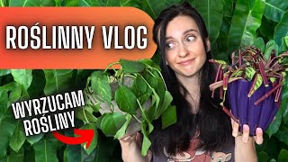 Roślinne porządki 🌱 Wyrzucam rośliny ❗😱🌿Roślinny VLOG 🌱 Gosia i Miłosz Vlog [upl. by Denby36]