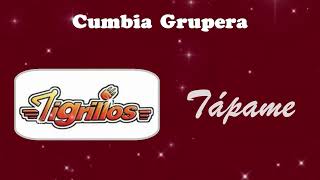 Tápame  Tigrillos • Cumbia Norteña • Cumbias Sólo Cumbias [upl. by Larred165]