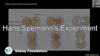 Hans Spemanns Experiment Biology Lecture  Sabaqpk [upl. by Nakada]