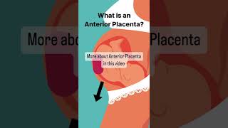 What is Anterior Placenta pregnant [upl. by Pihc]