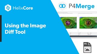 Using the Image Diff Tool [upl. by Reinaldo]