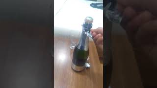 Sula Vineyards Sparkling Wine [upl. by Enivid803]