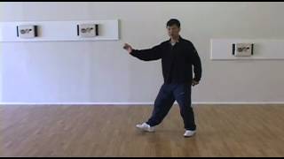 Yang Family Tai Chi Step Back Repulse Monkey [upl. by Ahcatan]